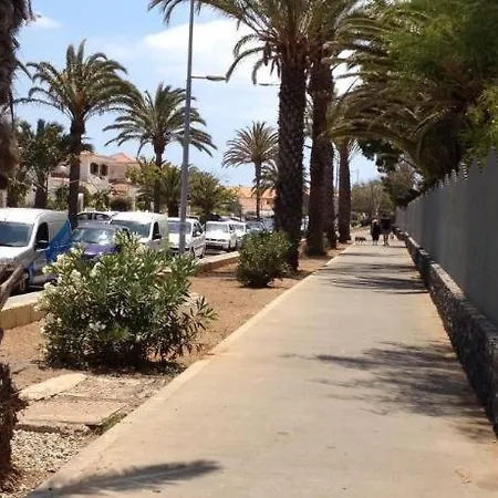 Los Geranios Costa Del Silencio Duplex Lejlighed Arona (Tenerife)